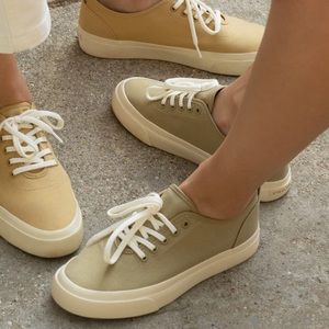 EVERLANE - The Forever Sneaker Green (Sycamore)